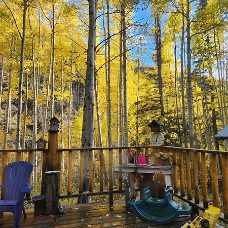 Cabin By The Creek With High Speed Wifi ريد ريفر المظهر الخارجي الصورة