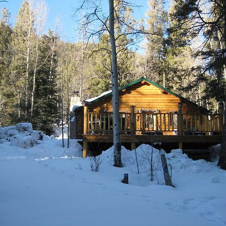 Cabin By The Creek With High Speed Wifi ريد ريفر المظهر الخارجي الصورة