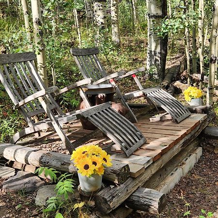 Cabin By The Creek With High Speed Wifi ريد ريفر المظهر الخارجي الصورة