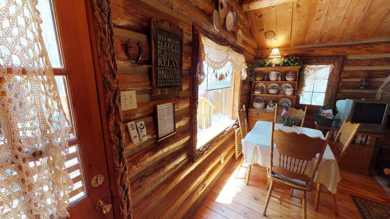 Cabin By The Creek With High Speed Wifi ريد ريفر المظهر الخارجي الصورة