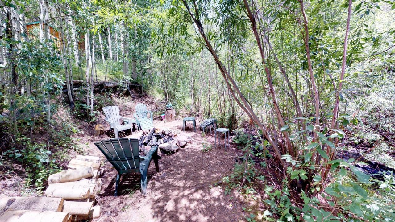 Cabin By The Creek With High Speed Wifi ريد ريفر المظهر الخارجي الصورة