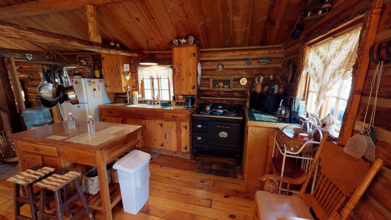 Cabin By The Creek With High Speed Wifi ريد ريفر المظهر الخارجي الصورة