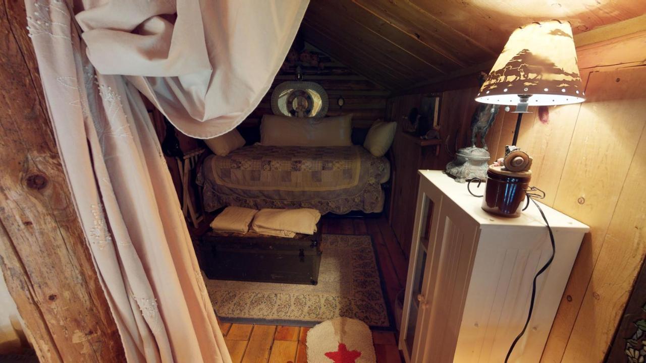 Cabin By The Creek With High Speed Wifi ريد ريفر المظهر الخارجي الصورة
