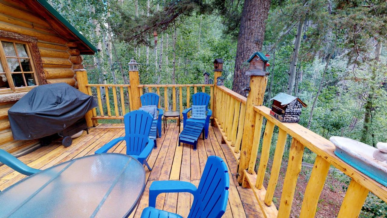 Cabin By The Creek With High Speed Wifi ريد ريفر المظهر الخارجي الصورة
