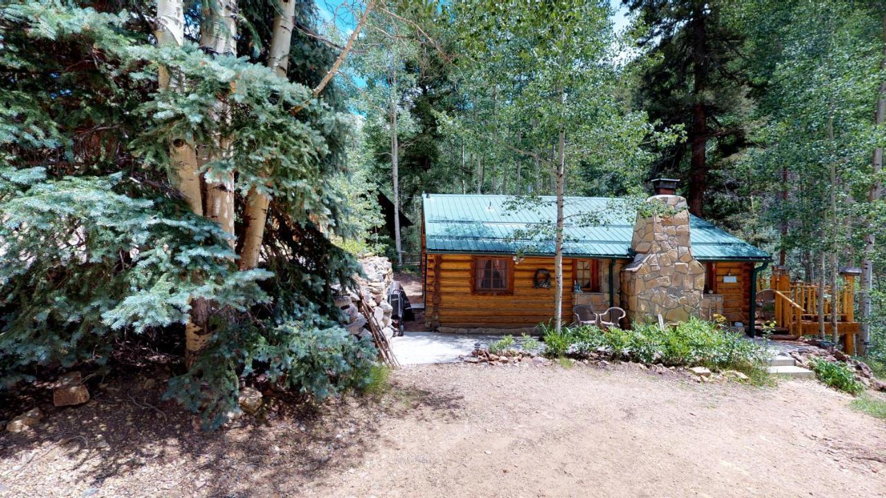 Cabin By The Creek With High Speed Wifi ريد ريفر المظهر الخارجي الصورة