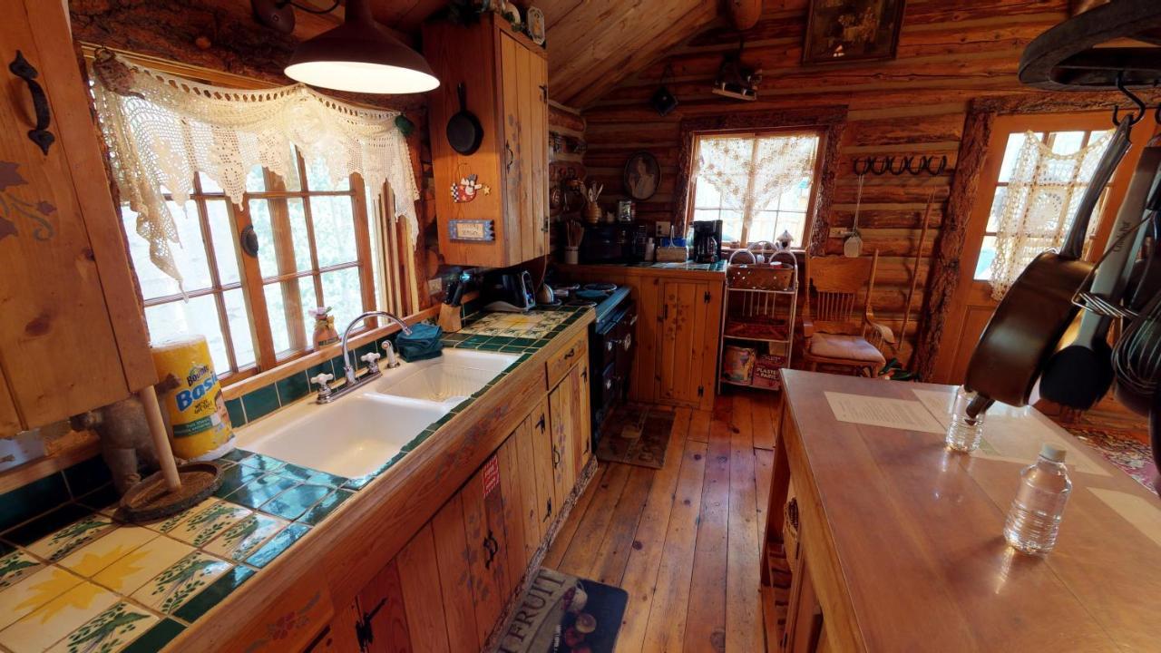 Cabin By The Creek With High Speed Wifi ريد ريفر المظهر الخارجي الصورة