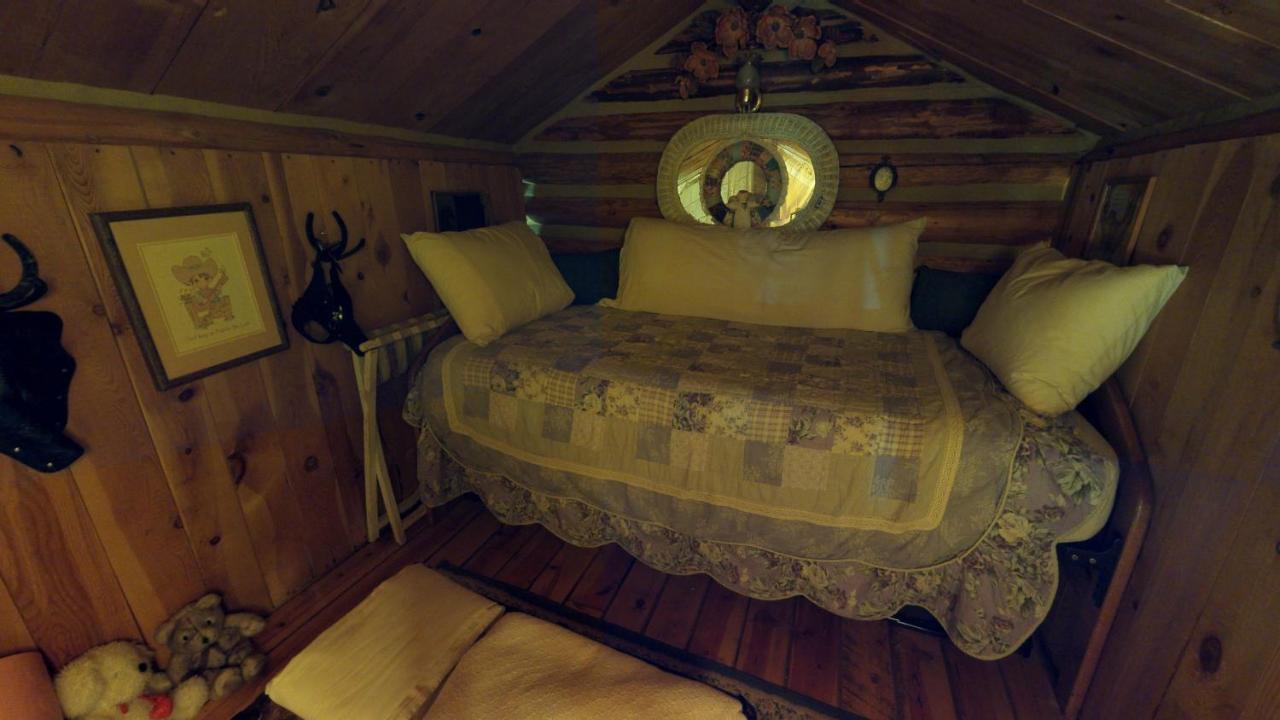 Cabin By The Creek With High Speed Wifi ريد ريفر المظهر الخارجي الصورة