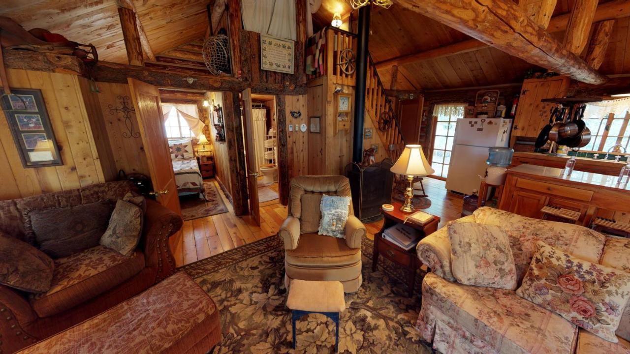 Cabin By The Creek With High Speed Wifi ريد ريفر المظهر الخارجي الصورة