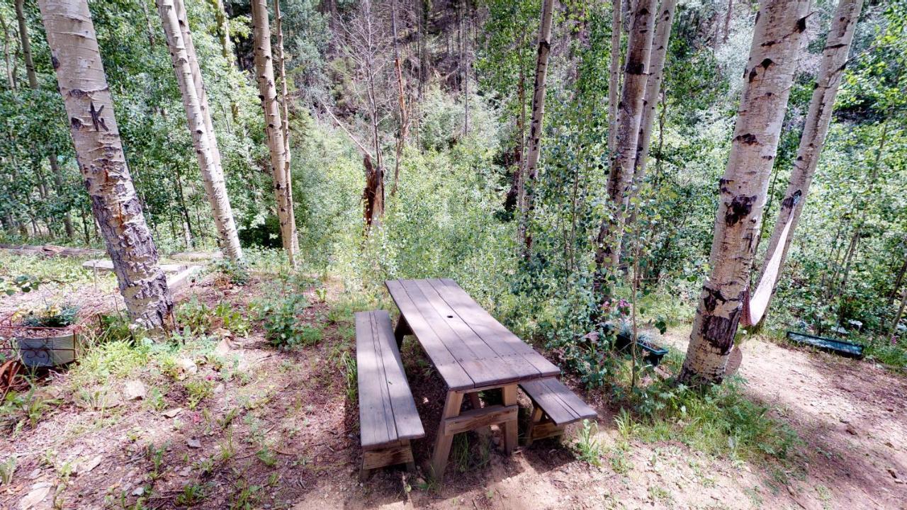 Cabin By The Creek With High Speed Wifi ريد ريفر المظهر الخارجي الصورة