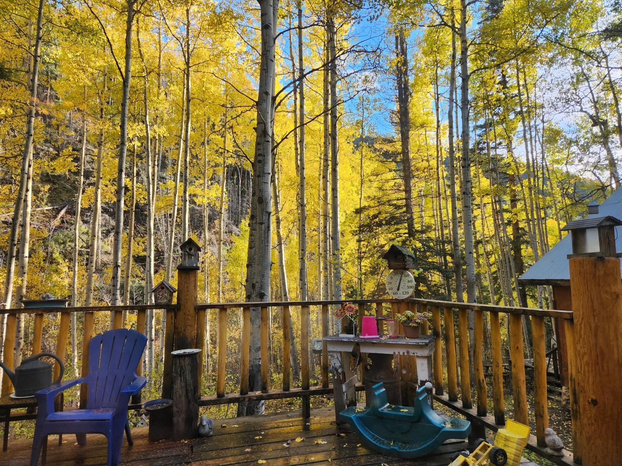 Cabin By The Creek With High Speed Wifi ريد ريفر المظهر الخارجي الصورة