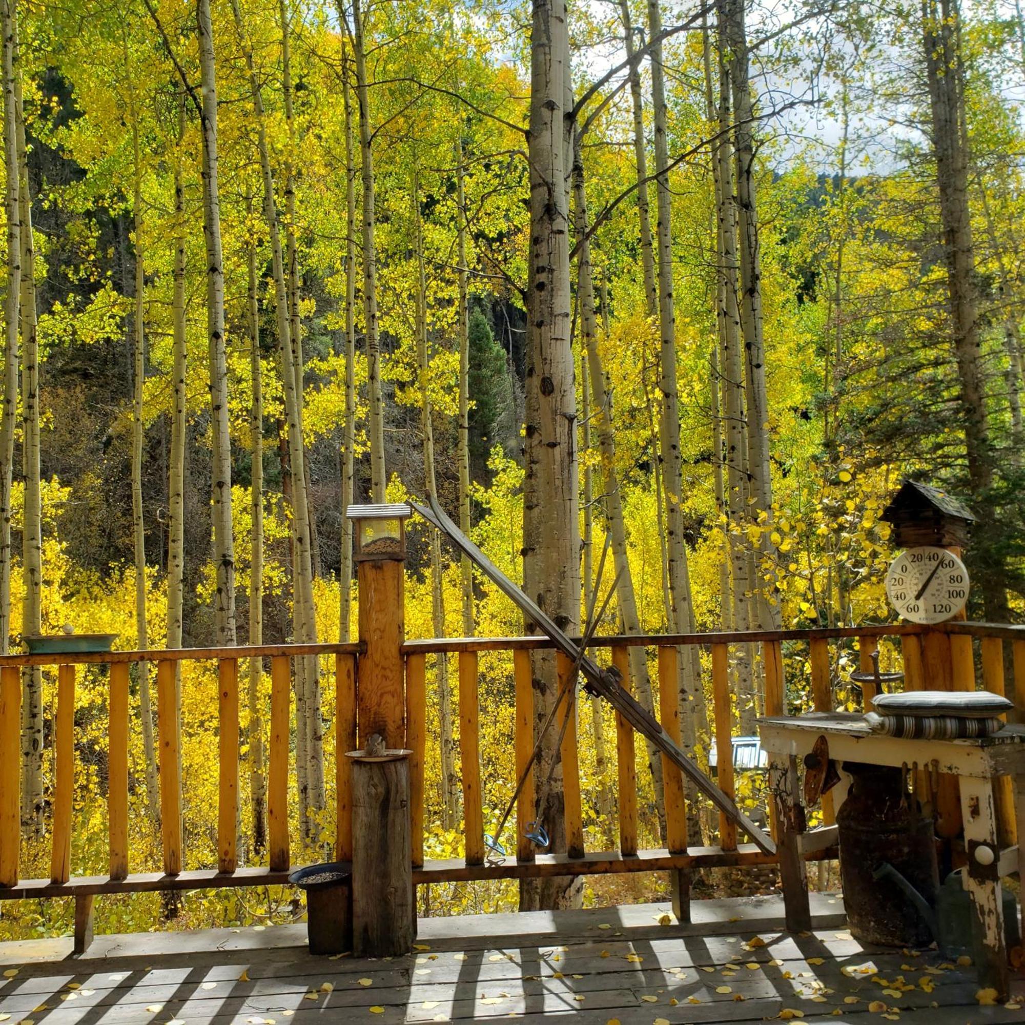 Cabin By The Creek With High Speed Wifi ريد ريفر المظهر الخارجي الصورة