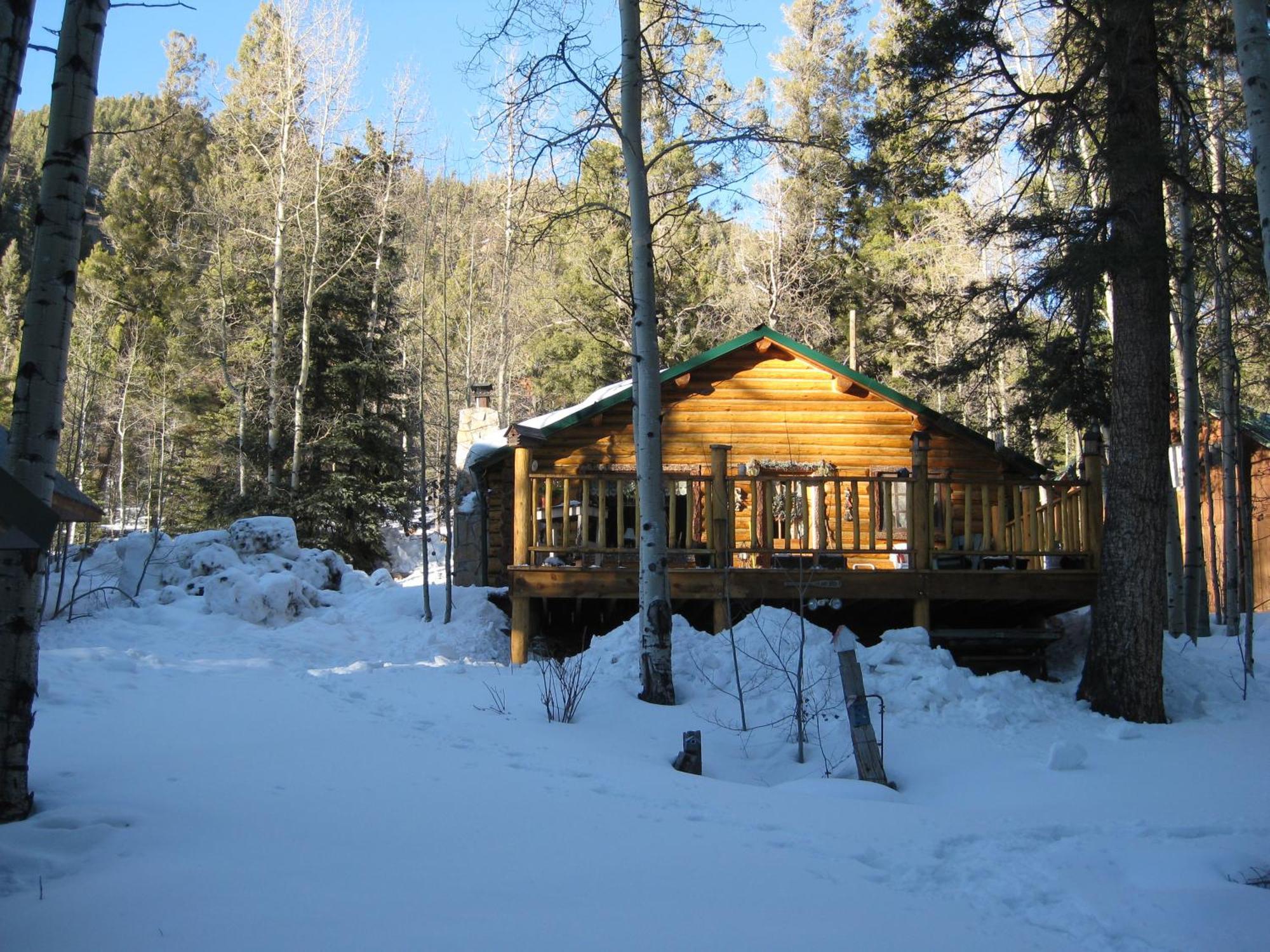 Cabin By The Creek With High Speed Wifi ريد ريفر المظهر الخارجي الصورة