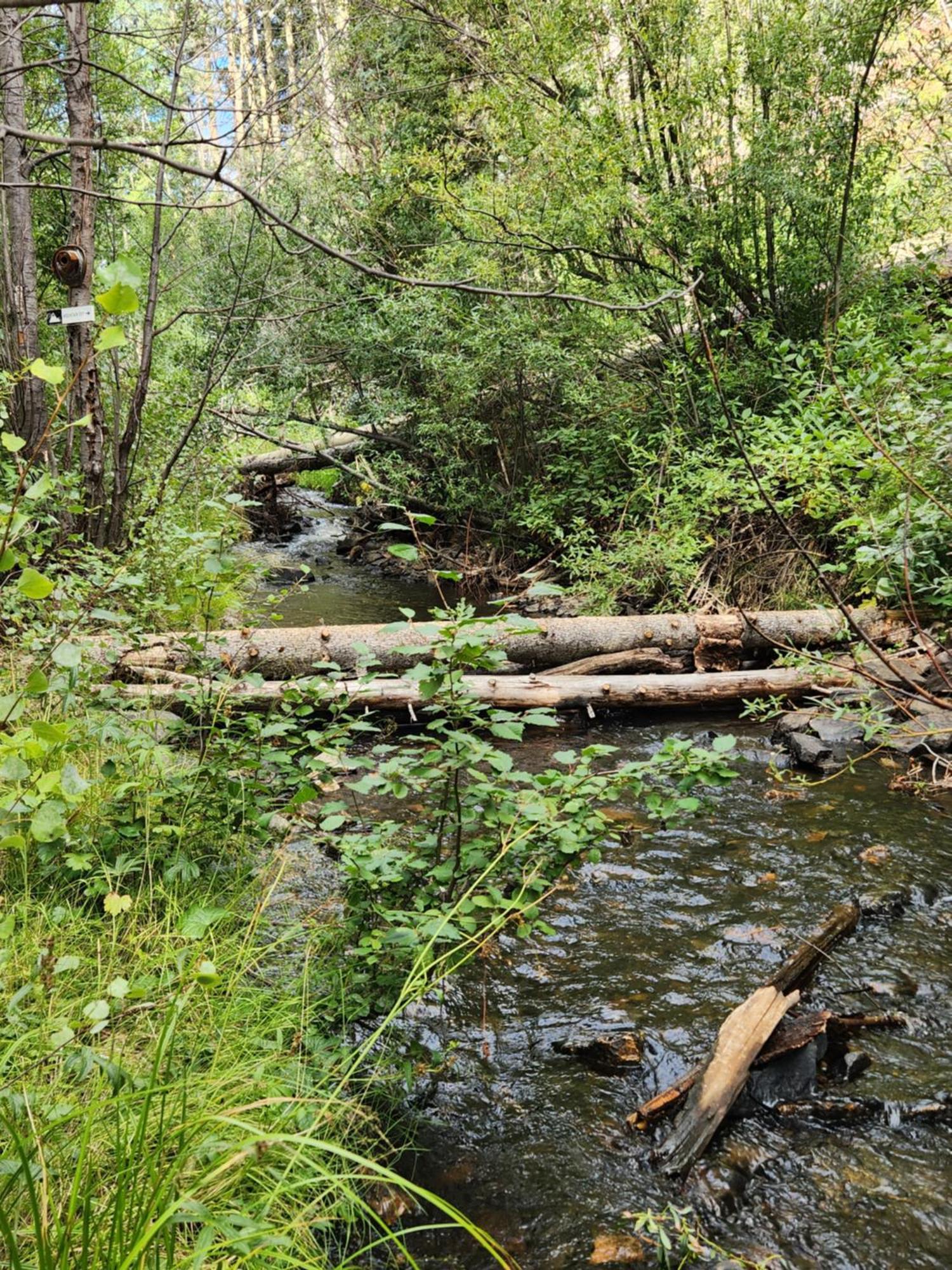 Cabin By The Creek With High Speed Wifi ريد ريفر المظهر الخارجي الصورة